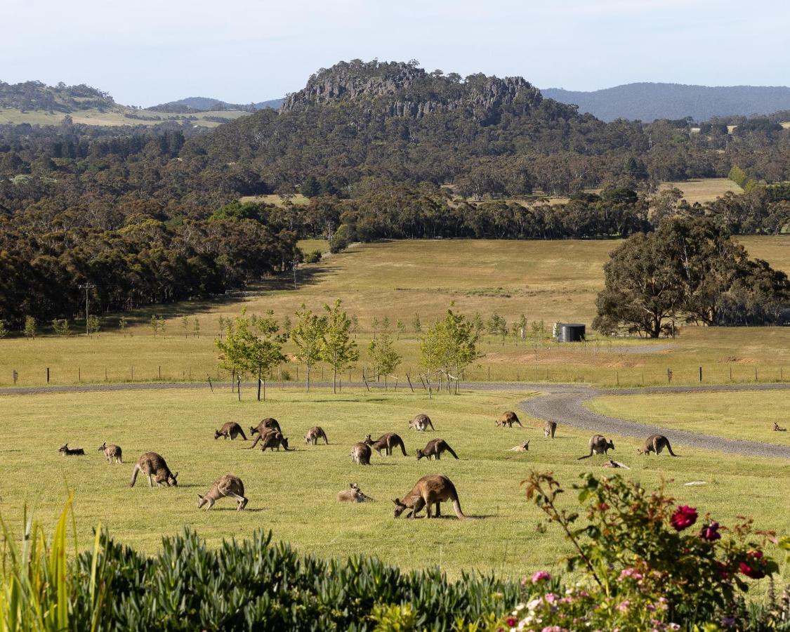 Hanging Rock Views Woodend Exterior photo